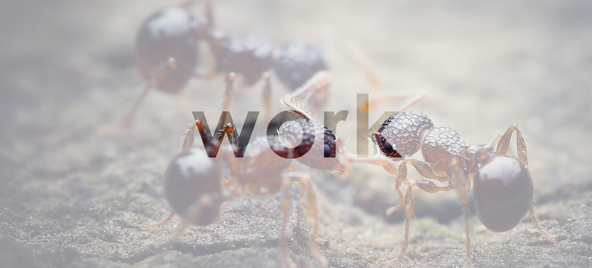 深圳市威廉希尔工业设计外观及结构设计案例